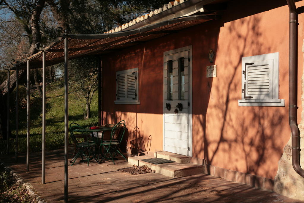 Malvarina Capodacqua  Номер фото
